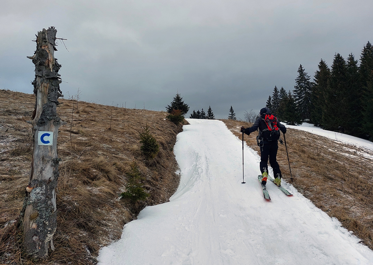 malinne-a-liprun-aktualne-na-lade-