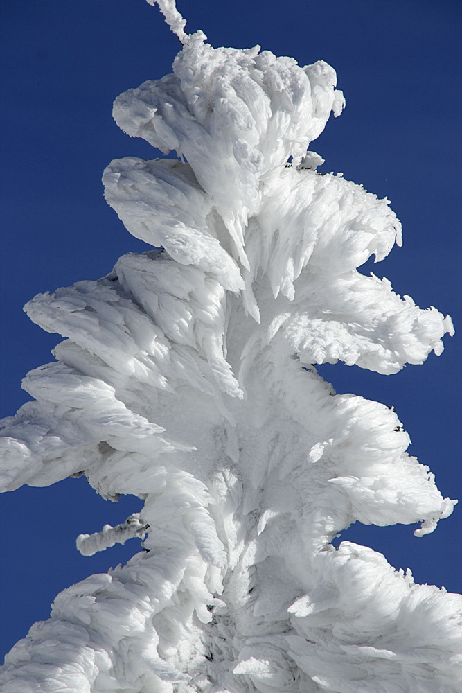 skialpaktual-certovica-chopok
